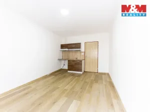 Pronájem rodinného domu, Velim, třída Krále Jiřího, 280 m2