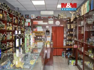 Pronájem obchodního prostoru, Ostrava, Výstavní, 50 m2