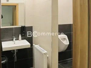 Pronájem kanceláře, Brno, Vídeňská, 504 m2