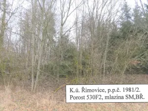 Prodej lesa, Řimovice, 522 m2