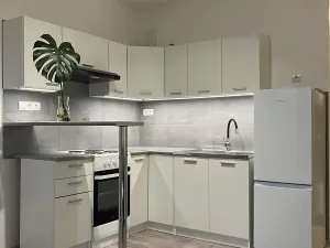 Prodej bytu 1+kk, Chodov, Jiráskova, 19 m2