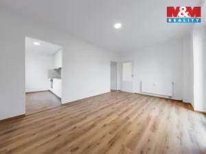 Prodej bytu 3+1, Nová Ves, 55 m2