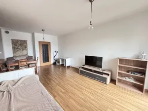 Pronájem bytu 1+kk, Praha - Nusle, V Horkách, 43 m2
