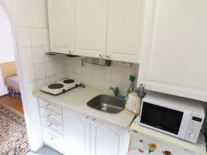 Pronájem bytu 1+kk, Praha, Formanská, 18 m2