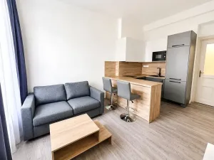 Pronájem bytu 2+kk, Praha - Vinohrady, Mánesova, 53 m2