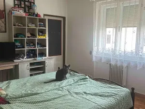 Prodej rodinného domu, Mnichovo Hradiště, 126 m2