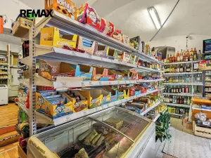 Prodej rodinného domu, Kostelec nad Černými lesy, Pražská, 250 m2