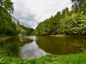 Prodej chaty, Číhošť, 75 m2