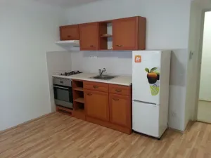 Pronájem bytu 1+kk, Praha - Žižkov, U kněžské louky, 35 m2