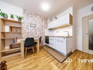 Pronájem bytu 1+kk, Olomouc, Edvarda Beneše, 23 m2