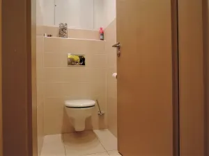 Prodej bytu 2+kk, Brno, K Rybníku, 57 m2