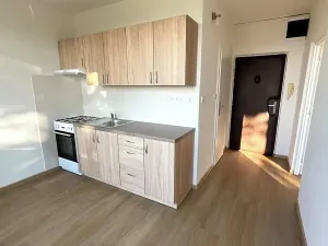 Pronájem bytu 1+1, Uherský Brod, Prim. Hájka, 47 m2