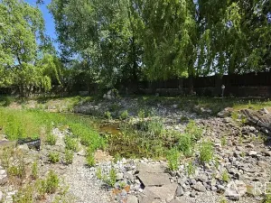 Prodej zemědělského objektu, Úžice, 5128 m2