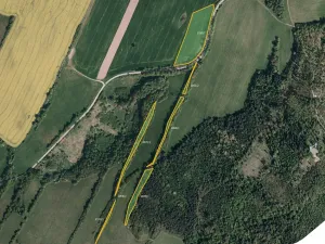 Prodej louky, Město Albrechtice, 18817 m2