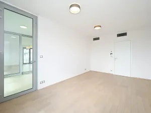 Pronájem bytu 4+kk, Praha - Žižkov, Olšanská, 120 m2