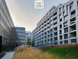 Pronájem bytu 2+kk, Praha - Karlín, Breitfeldova, 50 m2