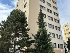 Pronájem bytu 1+kk, Praha - Písnice, Na okruhu, 20 m2
