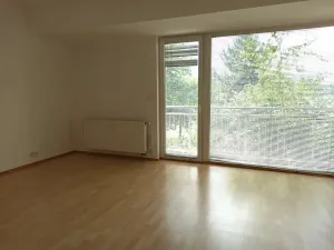 Pronájem bytu 2+kk, Praha - Horní Měcholupy, R.A. Dvorského, 69 m2