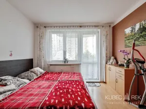 Prodej bytu 3+1, Tábor, Bukurešťská, 72 m2