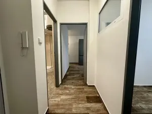 Pronájem bytu 2+kk, Plzeň, Mánesova, 43 m2