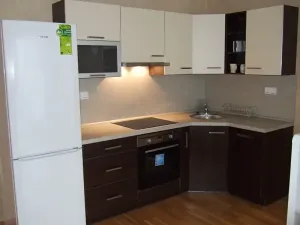 Pronájem bytu 1+kk, Praha - Vinohrady, Korunní, 45 m2