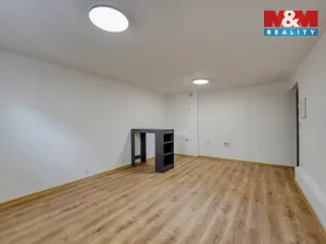 Prodej obchodního prostoru, Plzeň - Východní Předměstí, Ořechová, 26 m2