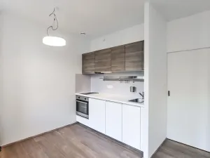 Pronájem bytu 1+kk, Praha - Vinohrady, Lucemburská, 30 m2