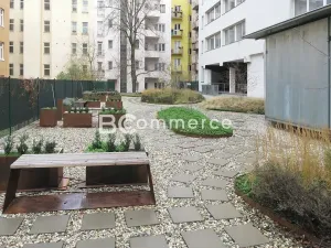 Pronájem kanceláře, Brno, 37 m2