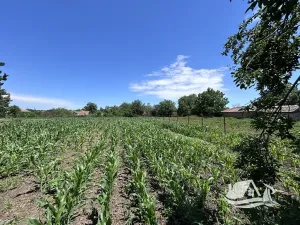 Prodej rodinného domu, Chernookovo, Bulharsko, 125 m2