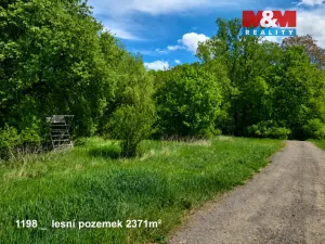 Prodej pole, Pňov-Předhradí - Pňov, 142115 m2