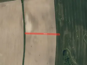 Prodej pole, Bzenec, 12700 m2