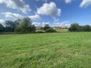 Prodej pole, Čížkov, 6291 m2