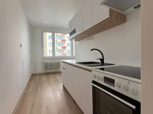Prodej bytu 2+1, Písek, nábřeží 1. máje, 60 m2
