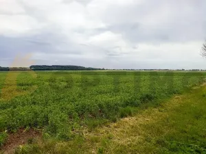 Prodej pole, Tursko, 24693 m2