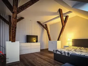 Pronájem bytu 1+kk, Ostrava, Cihelní, 38 m2