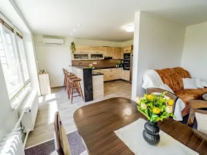 Prodej vícegeneračního domu, Uherské Hradiště, Pod Lipkami, 261 m2