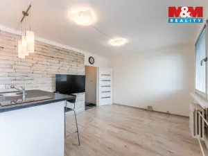 Prodej bytu 1+kk, Praha - Žižkov, Za žižkovskou vozovnou, 43 m2