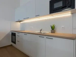 Pronájem bytu 1+kk, Brno, Poštovská, 46 m2