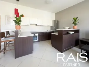 Prodej bytu 2+kk, Brno, Vranovská, 80 m2