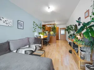 Prodej bytu 2+kk, Praha - Chodov, Divišovská, 53 m2