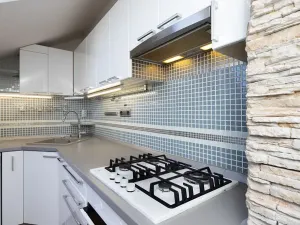 Pronájem bytu 2+kk, Opava, Mánesova, 48 m2