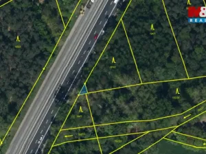 Prodej lesa, Pardubice - Trnová, 3361 m2