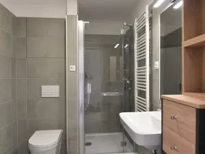 Pronájem bytu 1+kk, Brno, Reissigova, 42 m2