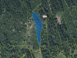 Dražba lesa, Velké Hamry, 6125 m2