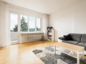 Prodej bytu 3+1, Brno, Bohuslava Martinů, 69 m2
