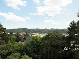 Prodej bytu 3+1, Brno, Bohuslava Martinů, 69 m2