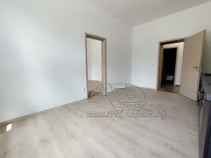 Pronájem atypického bytu, České Budějovice, Fráni Šrámka, 65 m2