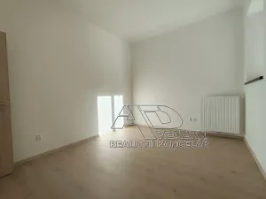 Pronájem atypického bytu, České Budějovice, Fráni Šrámka, 65 m2