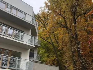 Prodej bytu 2+kk, Karlovy Vary, Šumavská, 150 m2