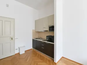 Prodej bytu 2+kk, Praha - Nové Město, Hálkova, 49 m2